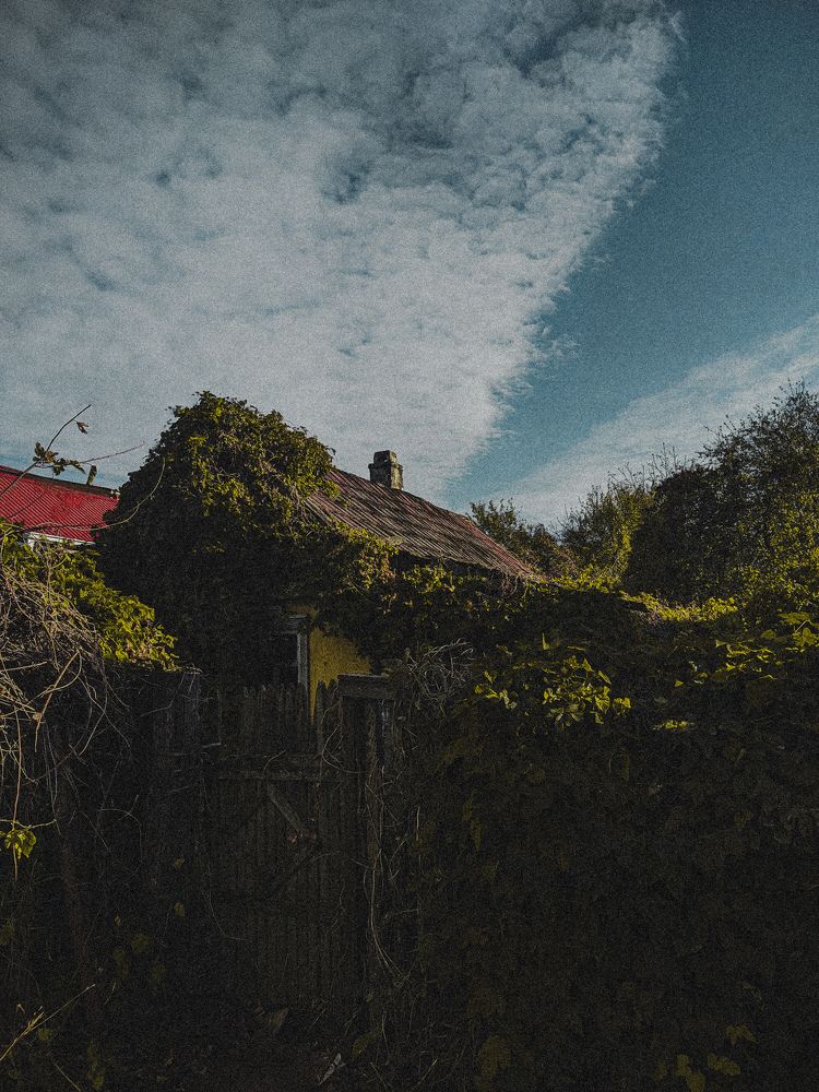 Photograph by Егор Брижань