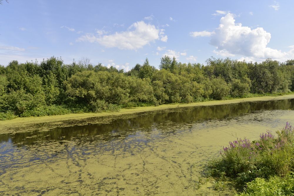 Photograph by Анастасия Хованская