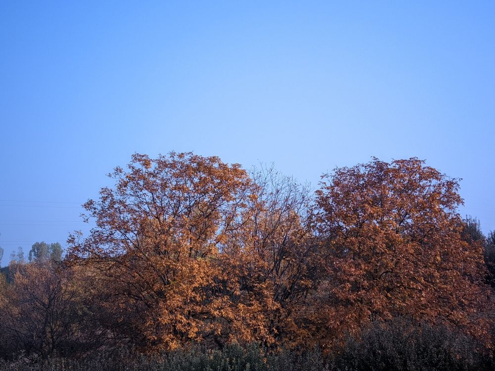 Photo #9901848