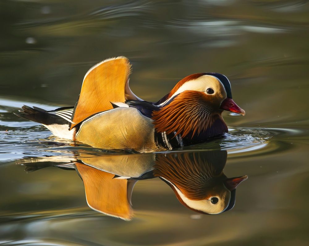 Photograph by Pablo Corengia