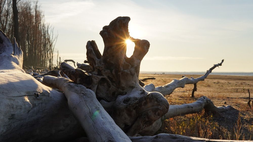 Photograph by Станислав