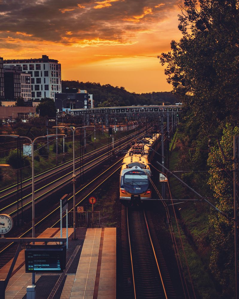 Photograph by Tymek Gajewski