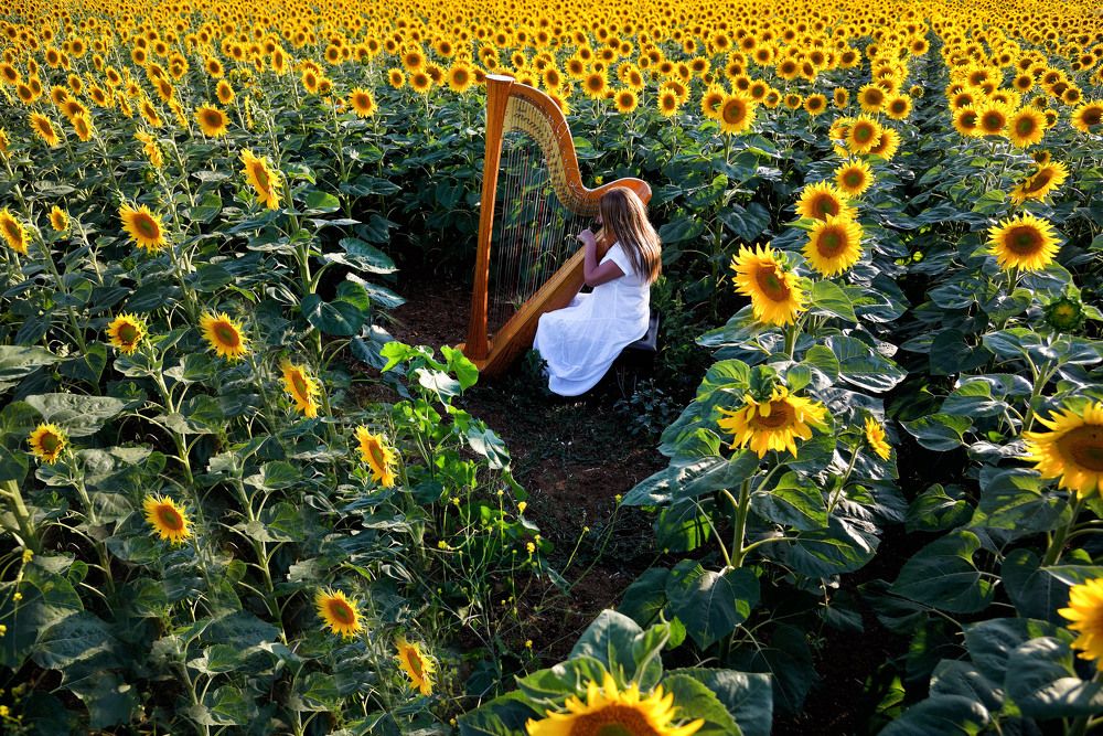 Photograph by Bekir Yesiltas