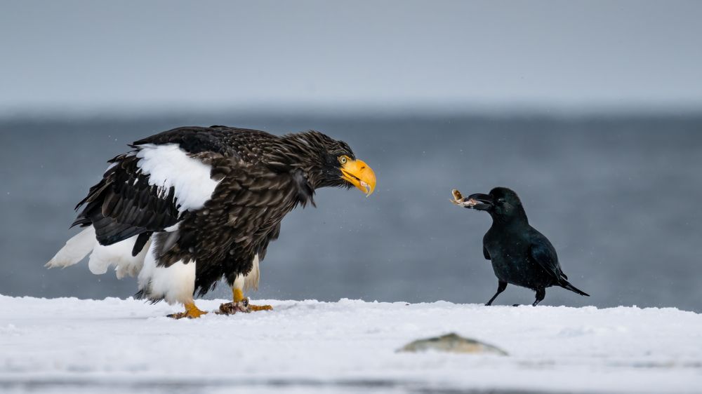 Photograph by Николай Мозгунов