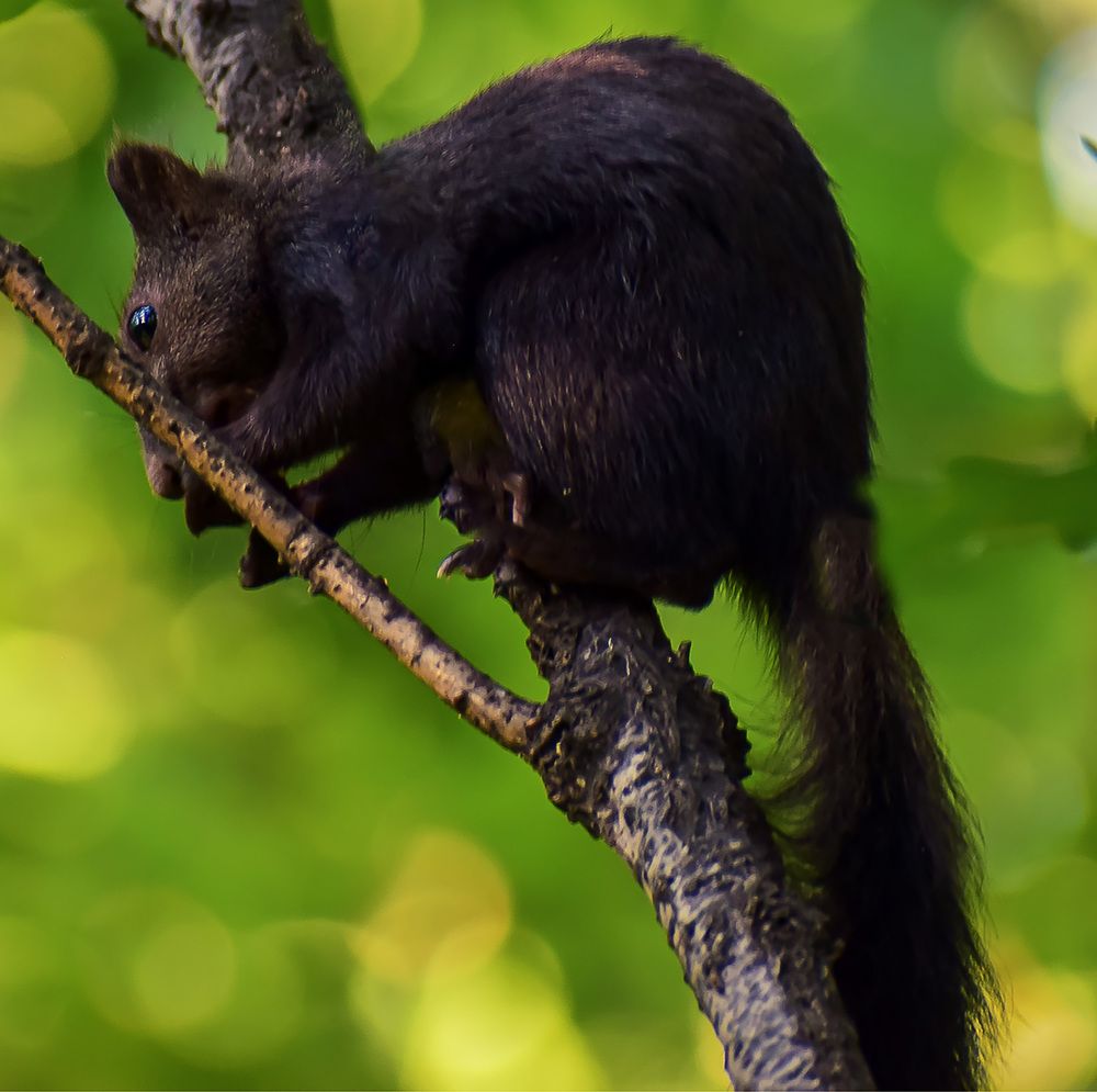 Подальше от чужих