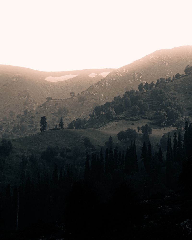 Photograph by Basit Manzoor