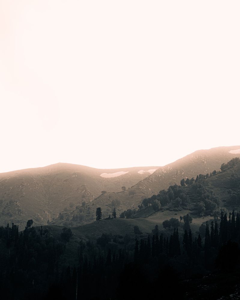 Photograph by Basit Manzoor