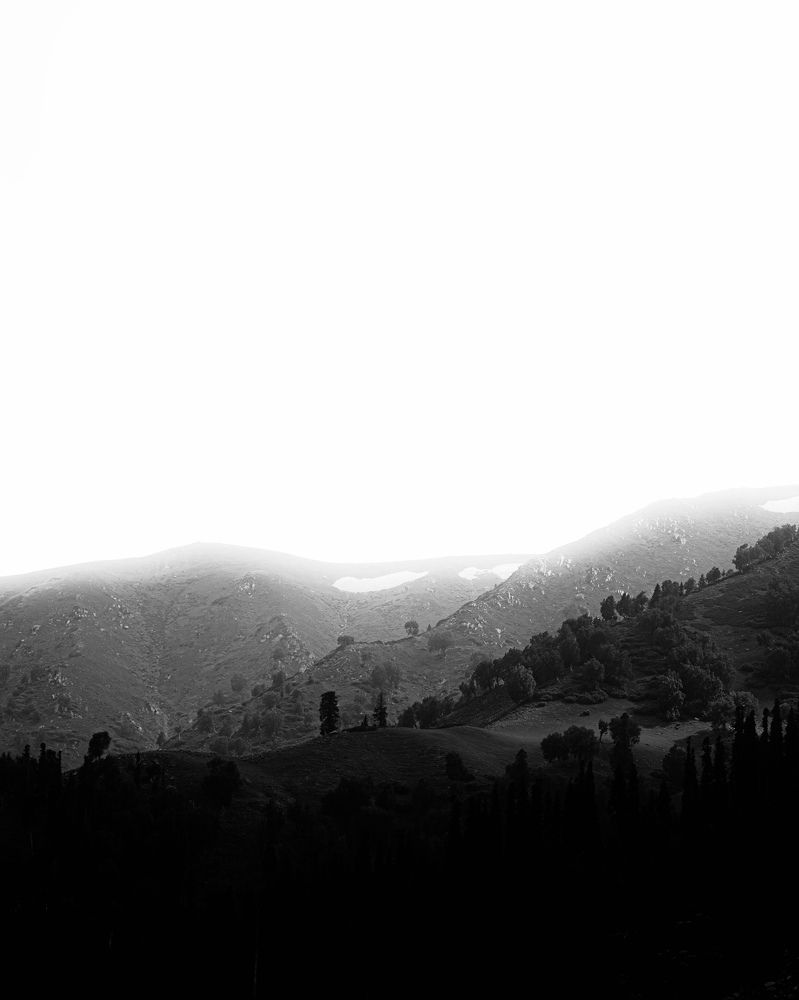 Photograph by Basit Manzoor