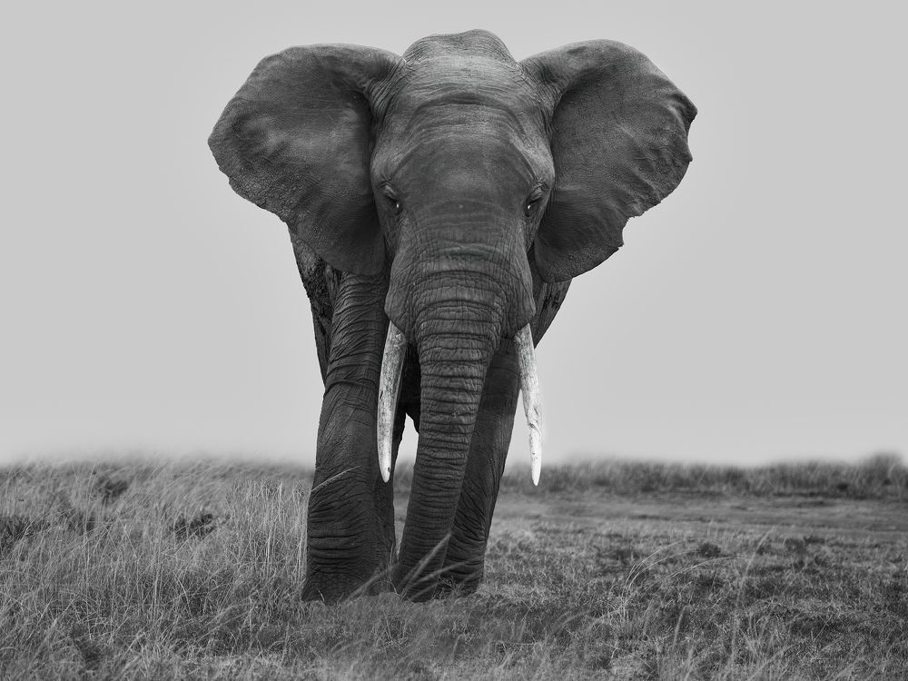 Photograph by Ana Lozano