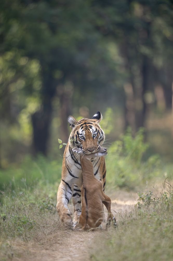 Photograph by Jitender Govindani