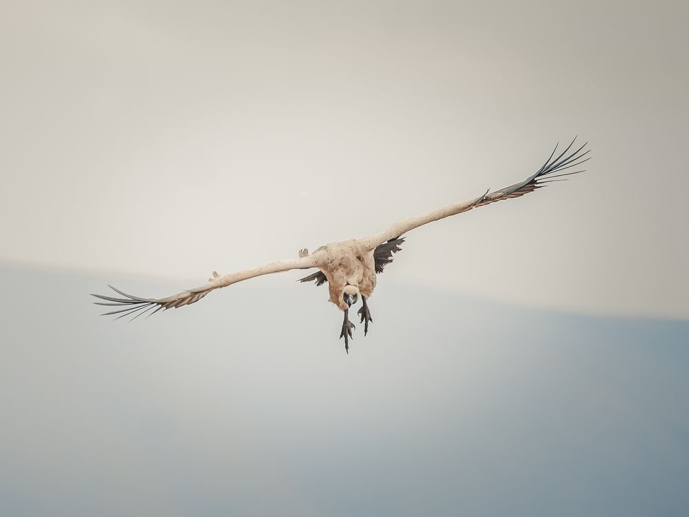 Photograph by Ana Lozano