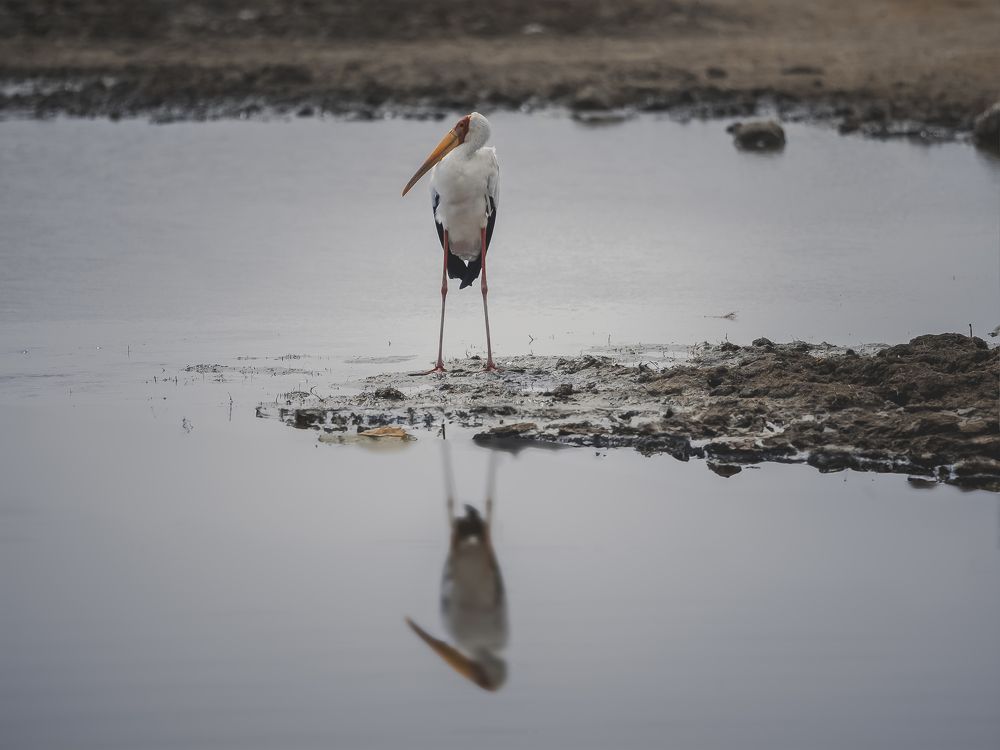 Photograph by Ana Lozano