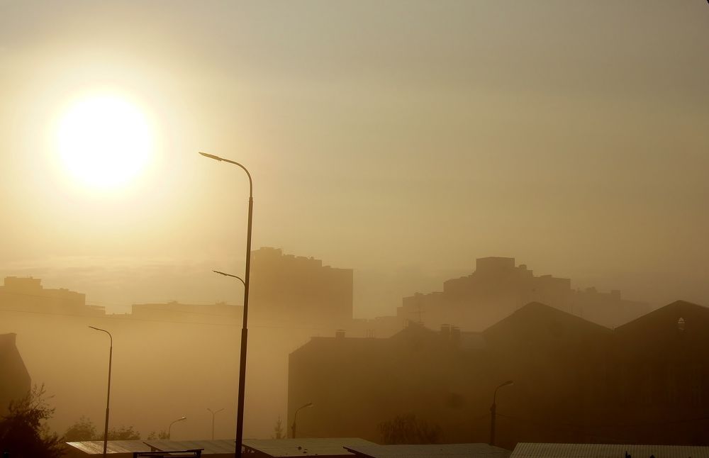 Photograph by Светлана Стрельцова