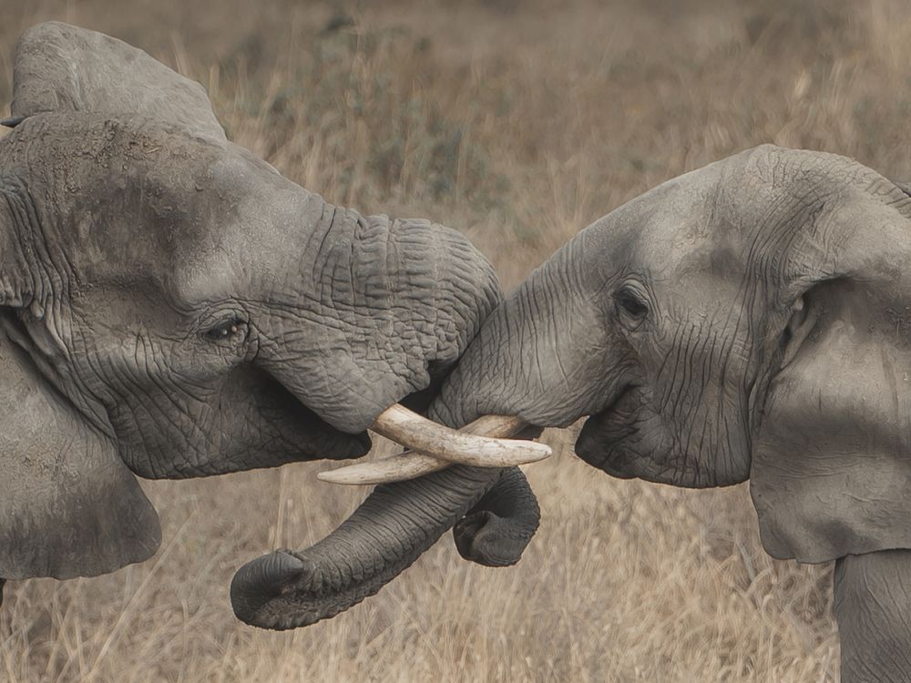 Photograph by Ana Lozano