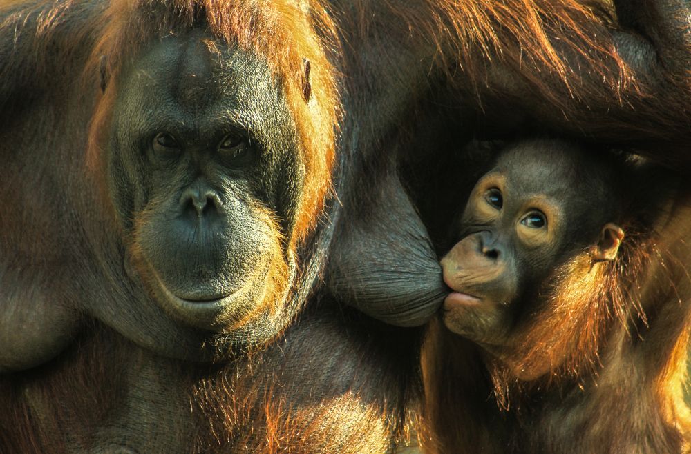 Photograph by Aleksandra