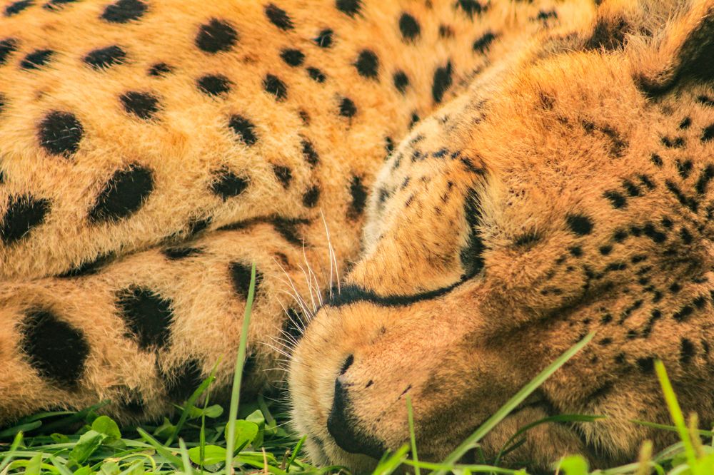 Photograph by Aleksandra