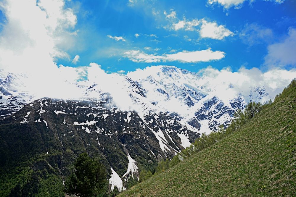 Photograph by Ольга Истомина