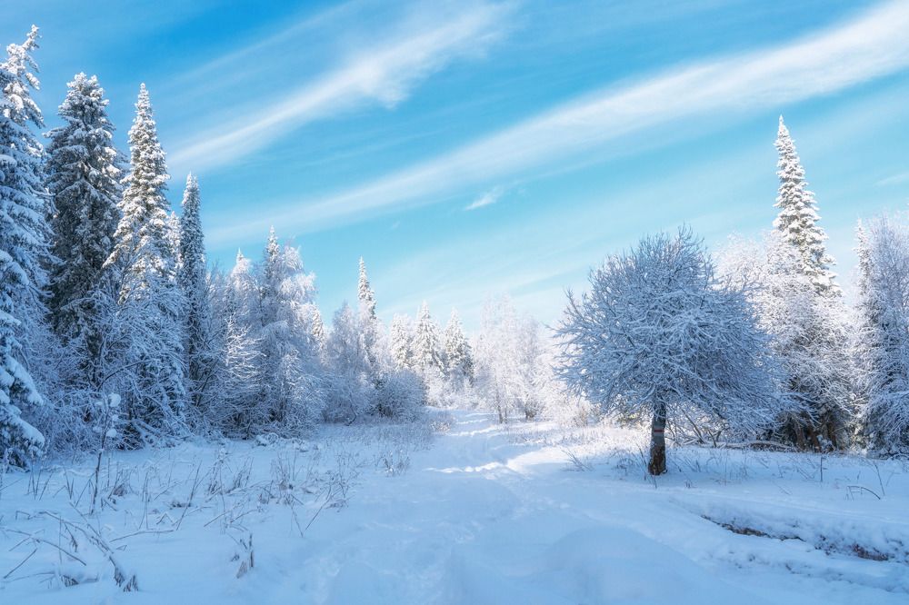 Photograph by Анастасия Глазюк