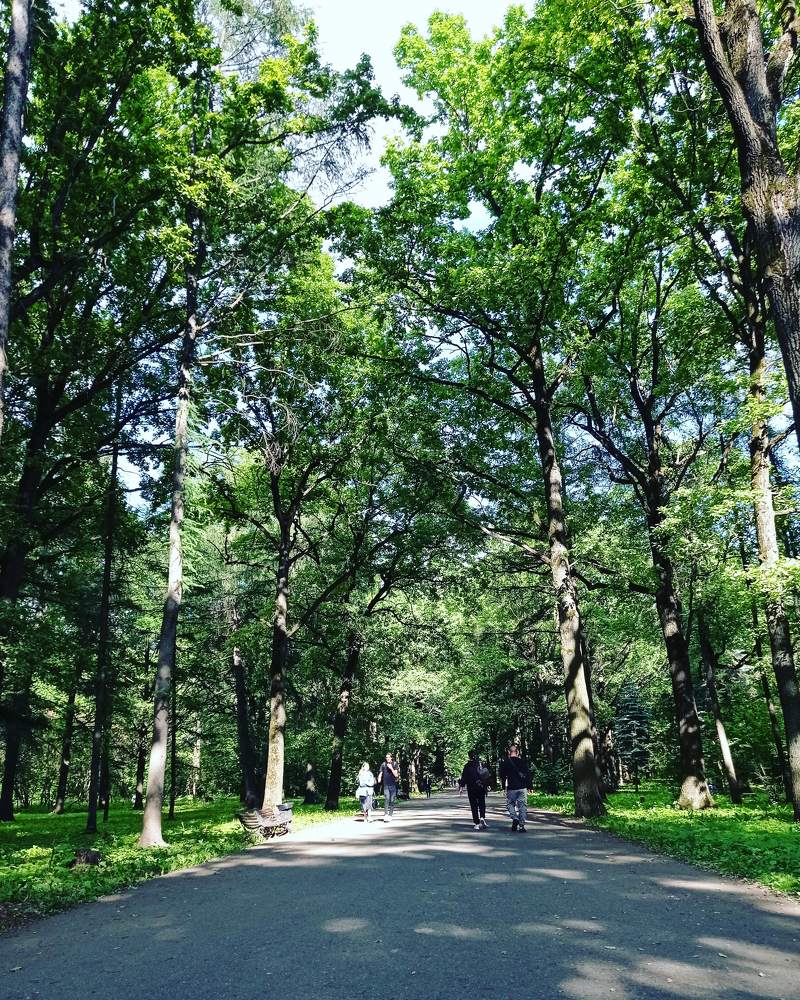 Photograph by Евгения Семёнова