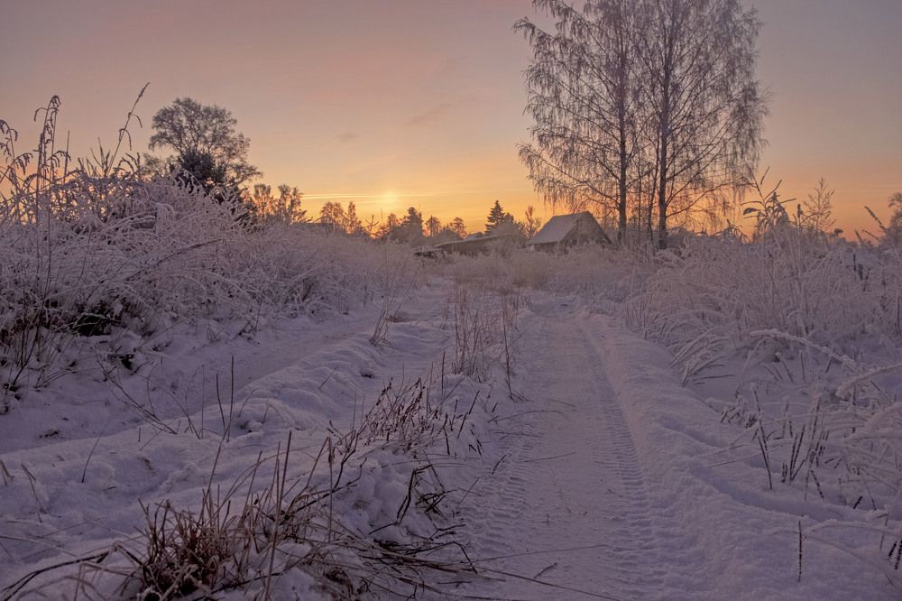 Фотография автора Наталья Липовская