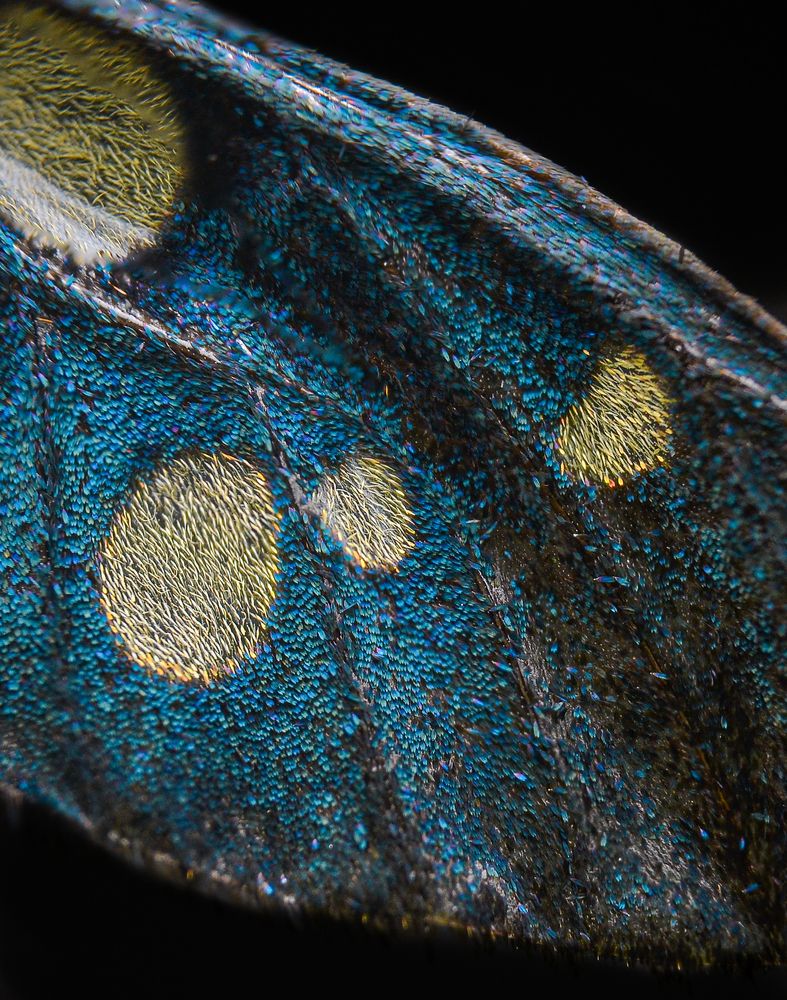 Photograph by Kasun Wickramasinghe