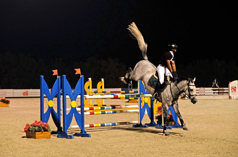 Фотография автора Наталья Липовская