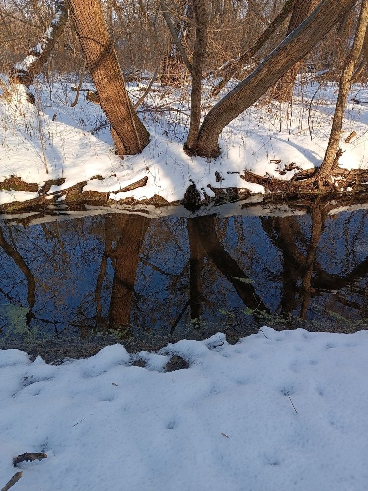 Морозный Ноябрь 2023