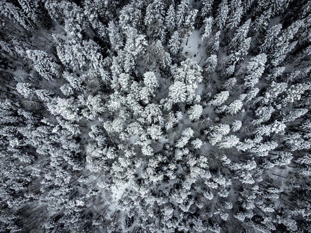 Photograph by Ярослав Изотов