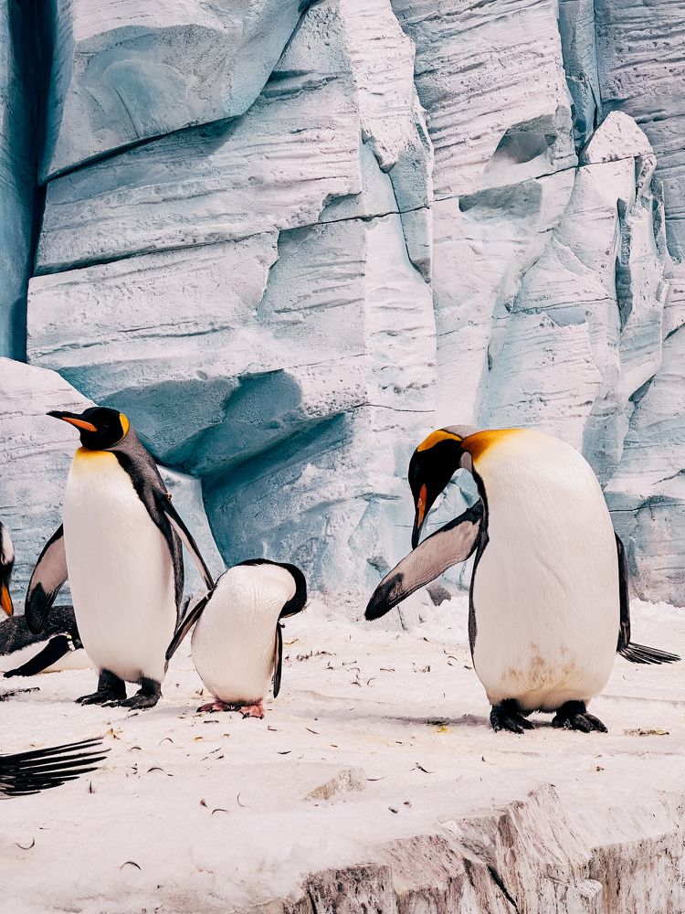 Photograph by Ольга Позняк