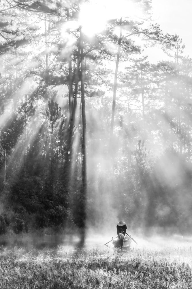 Photograph by Hoai Anh Dang