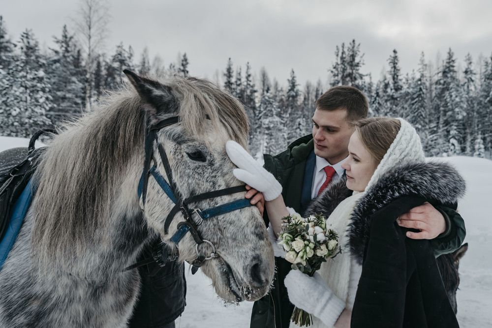 Photograph by Сергей Комаров