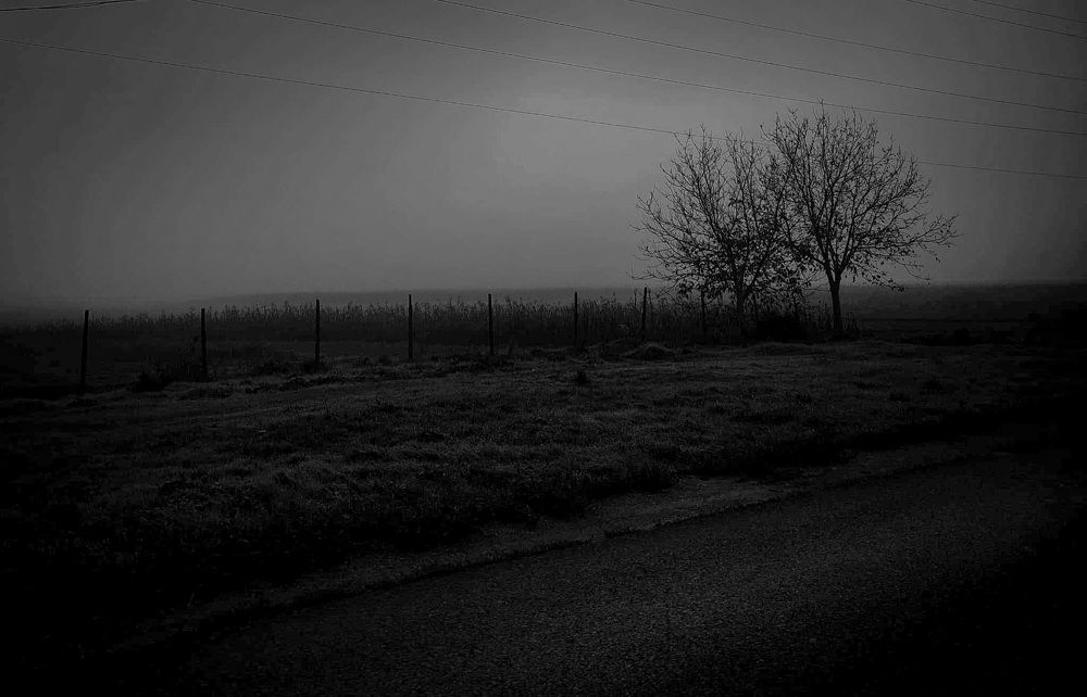 Photograph by Denisa-Mihaela Logoja