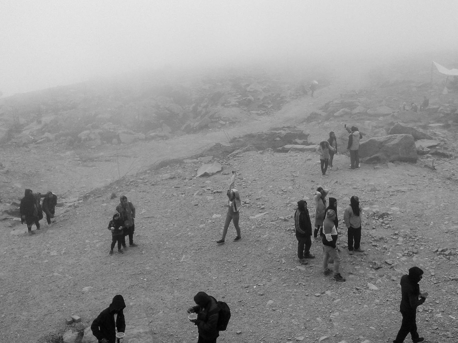 Photo #9902622