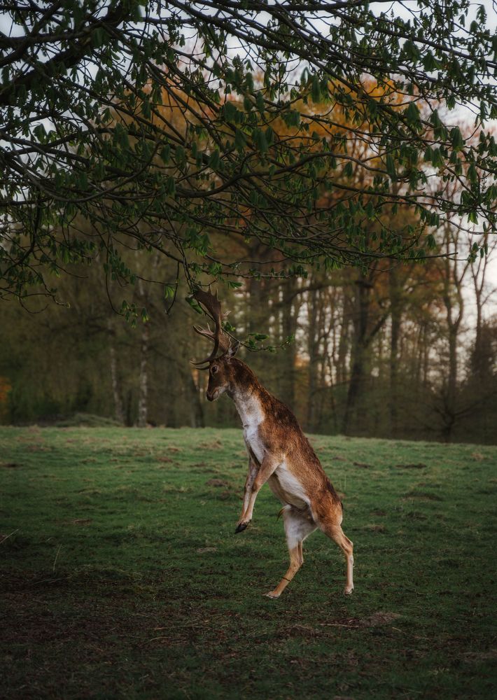 Photograph by Екатерина Карпова