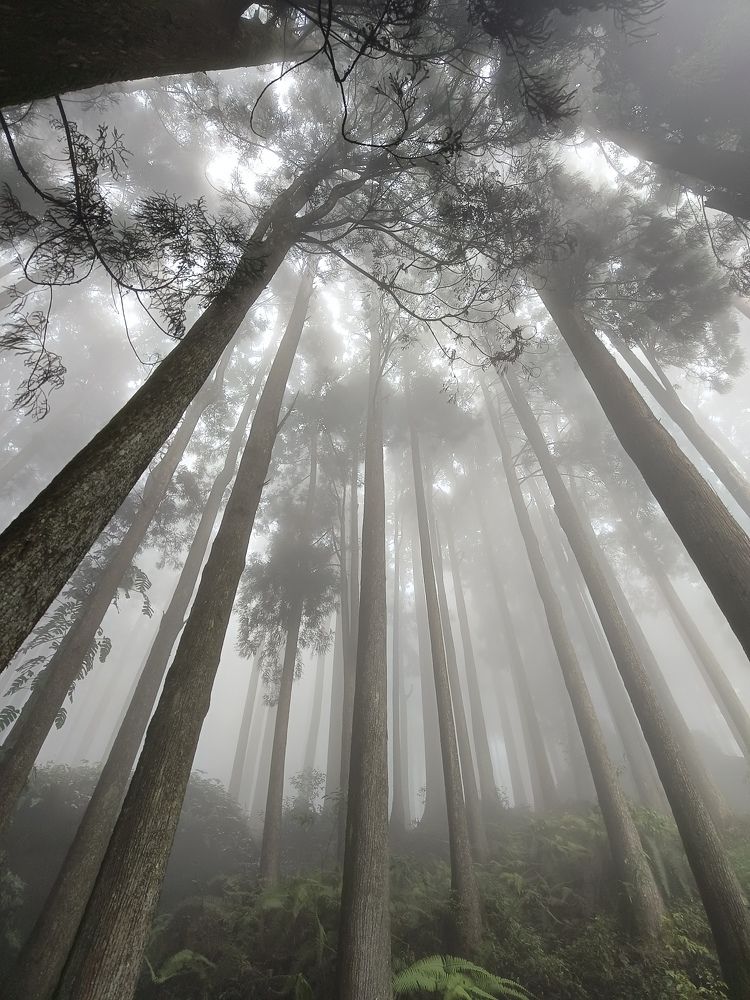 Photograph by subir kumar bhadra