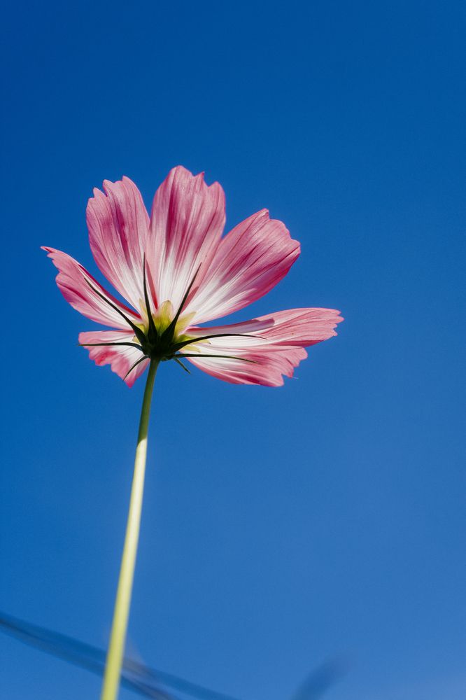 Photograph by Анна Ушакова