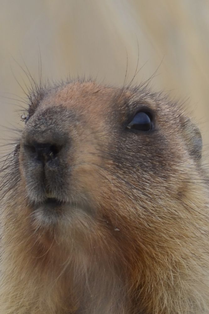 Photograph by Ольга Мокрова