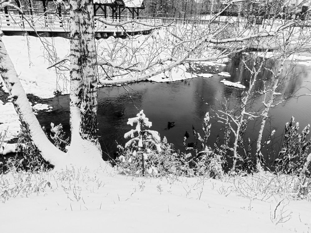 Photograph by Ирина Немкина
