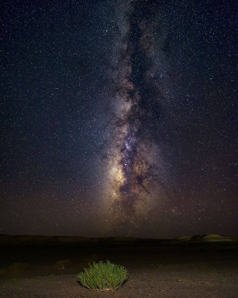 Photograph by Alaa Nour