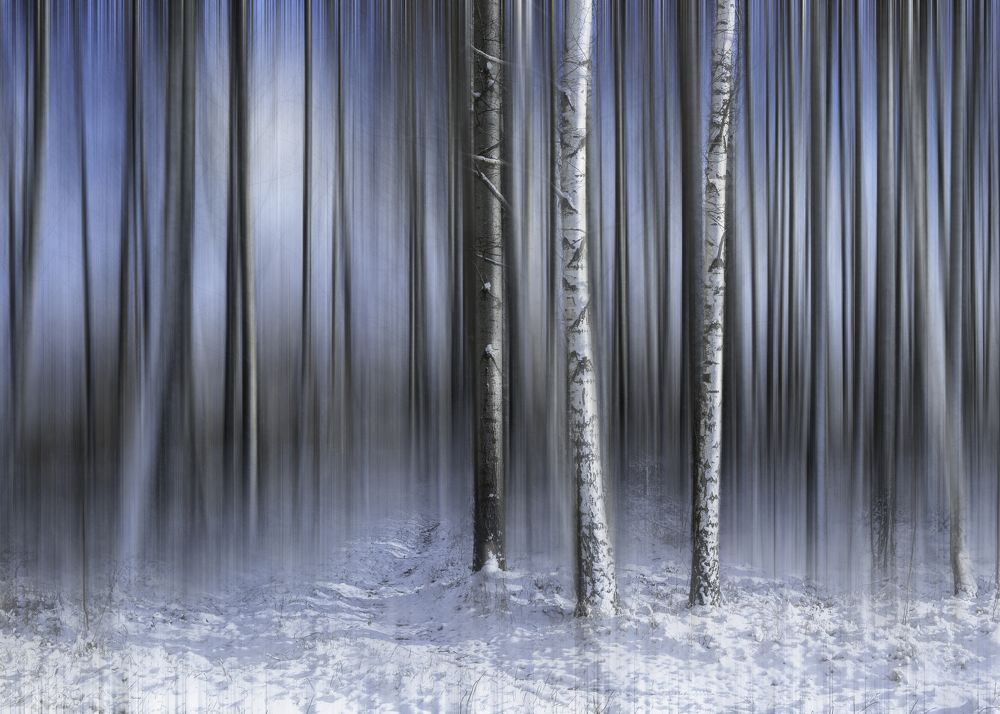 Photograph by Алексей Крукович