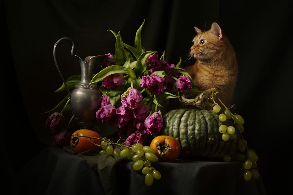 Фотография автора Марина Красовская