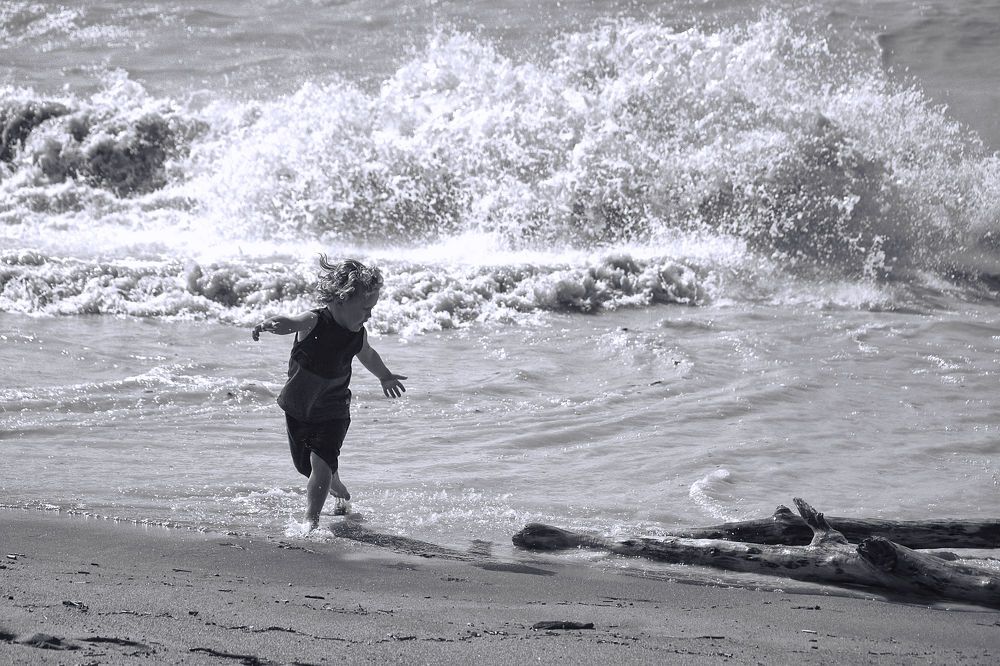 Photograph by A. G. Bisschop