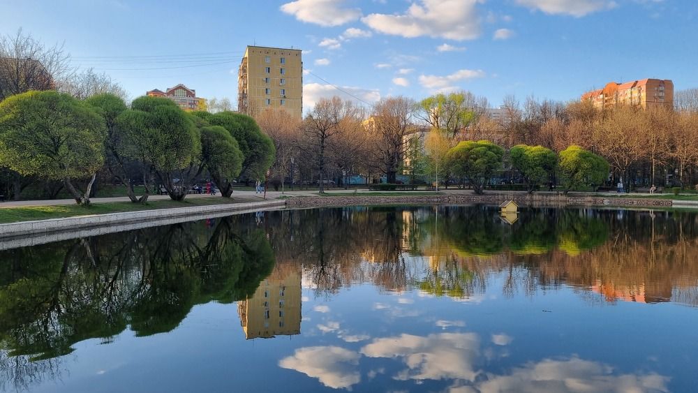 Photograph by Татьяна Музыка