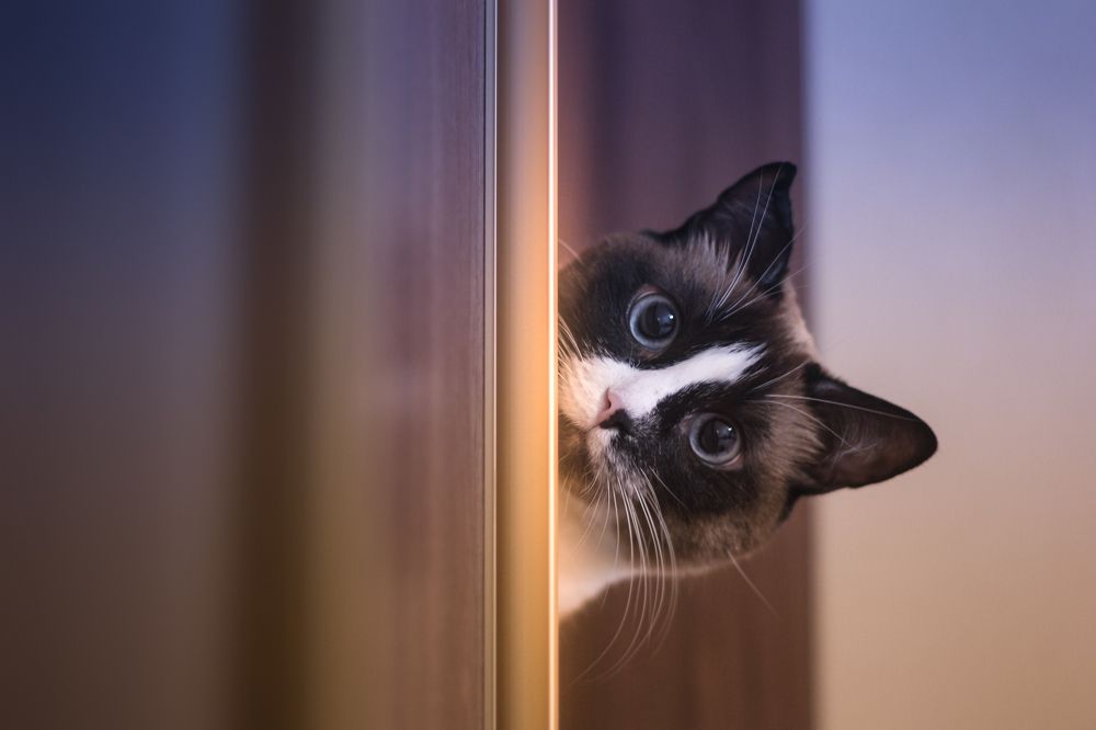 Photograph by Юлия Крюкова