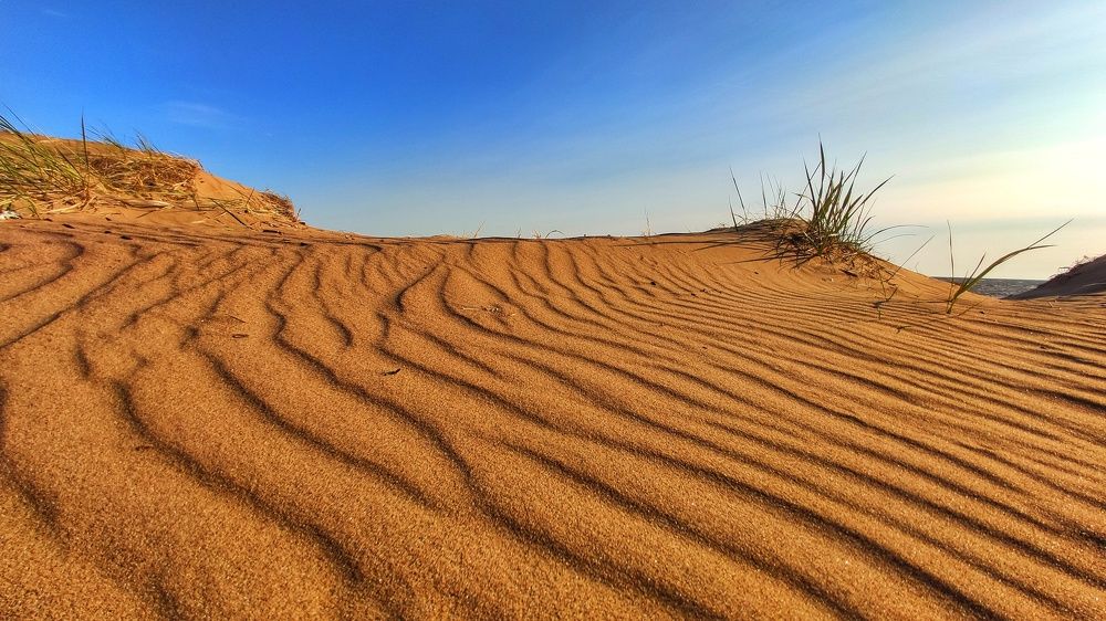 Пески Ленобласти