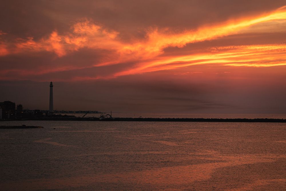 Photograph by Anna Vlasova