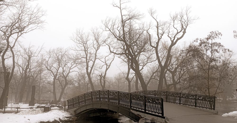 Photograph by юрий Запяткин