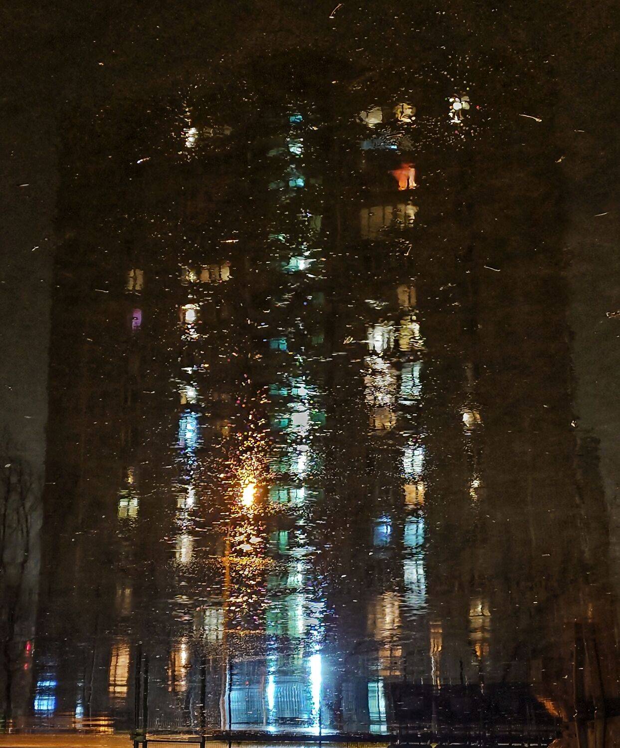 Photo #9903206