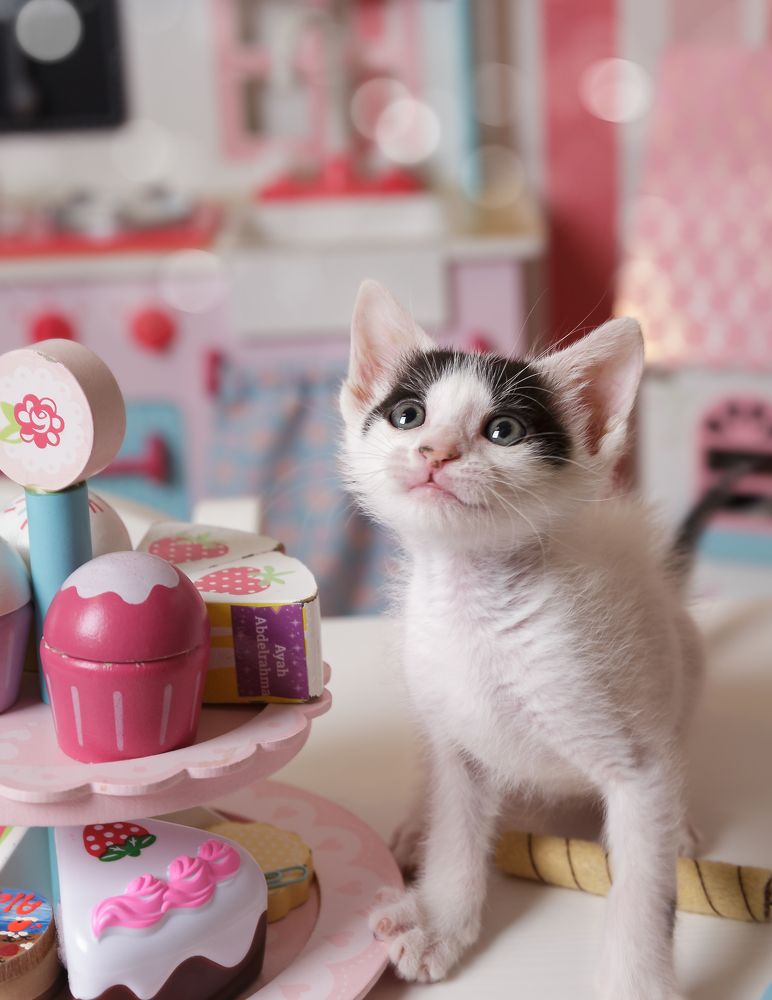 The Little White Heart