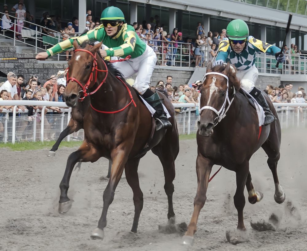 Photograph by Алексей Патлах